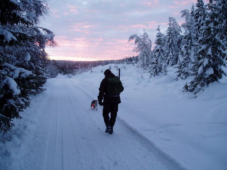 Novemberdag i 2005.